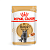 RC British Shorthair Adult
