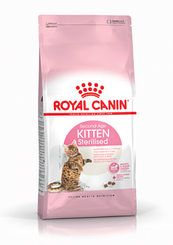 RC Kitten sterilised