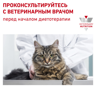 RC Hypoallergenic (сухой кошки)2
