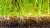 PP152