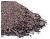 PP151