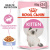 RC Kitten (в желе) 1