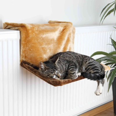 223792_PHO_PRO_CAT_4322-1