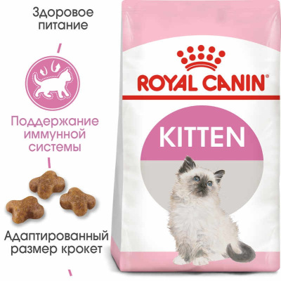 RC Kitten1