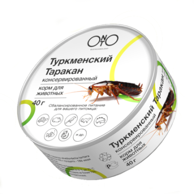 Туркменский таракан консервированный ONTO, 40г