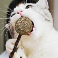 С кошачьей мятой